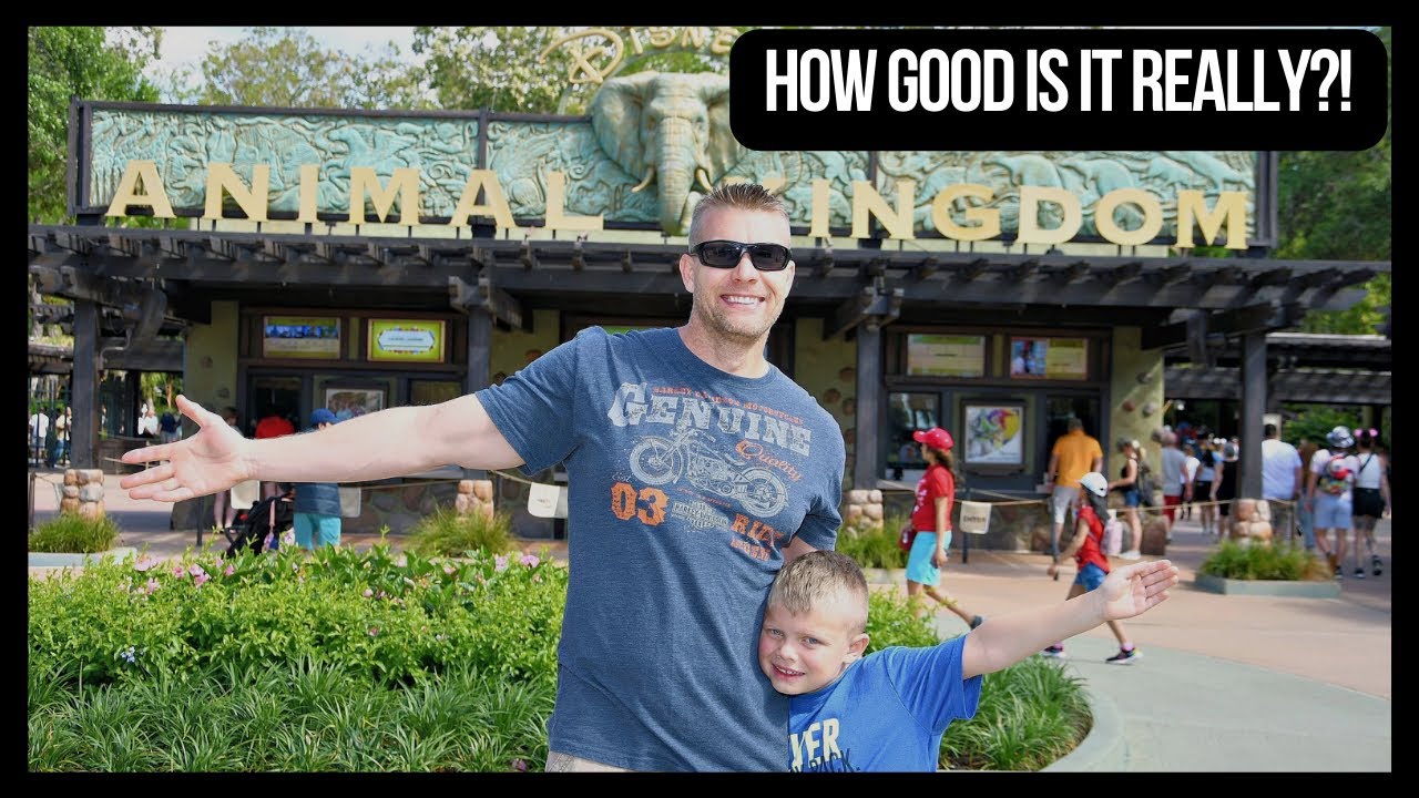 Disney's Animal Kingdom All Best Rides & Attractions | Full Tour Guide - Walt Disney World