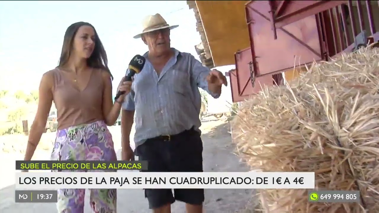 CUADRA BELLAVISTA ARANJUEZ Sequía extrema en la agricultura