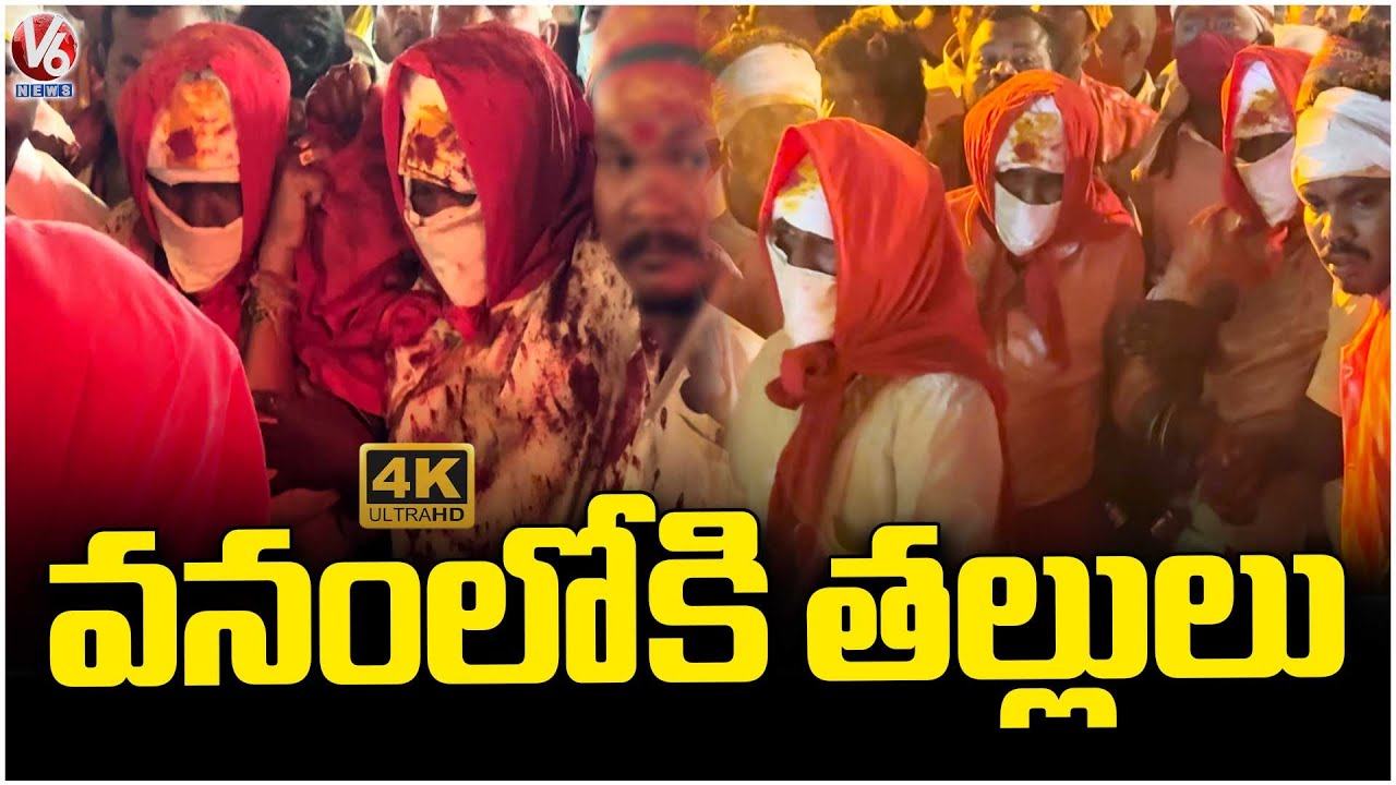 Medaram Sammakka Saralamma Jatara Concludes 4K Video | V6 News