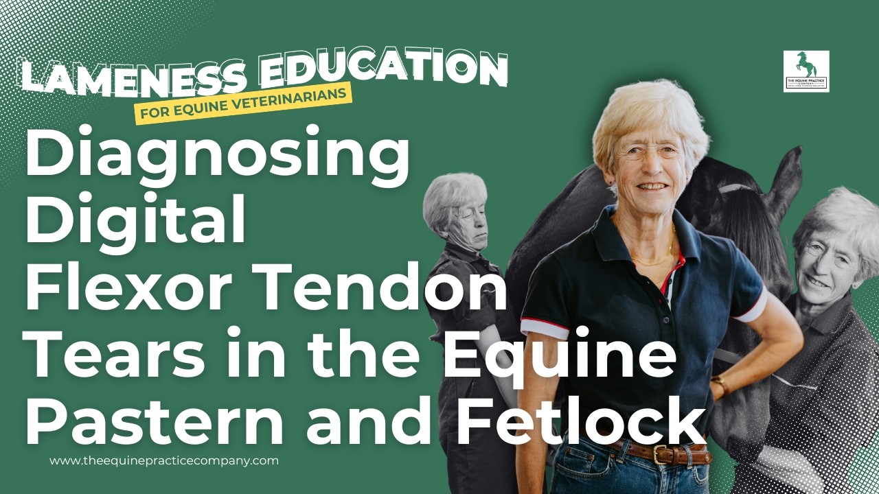 Diagnosing Digital Flexor Tendon Tears in the Equine Pastern and Fetlock