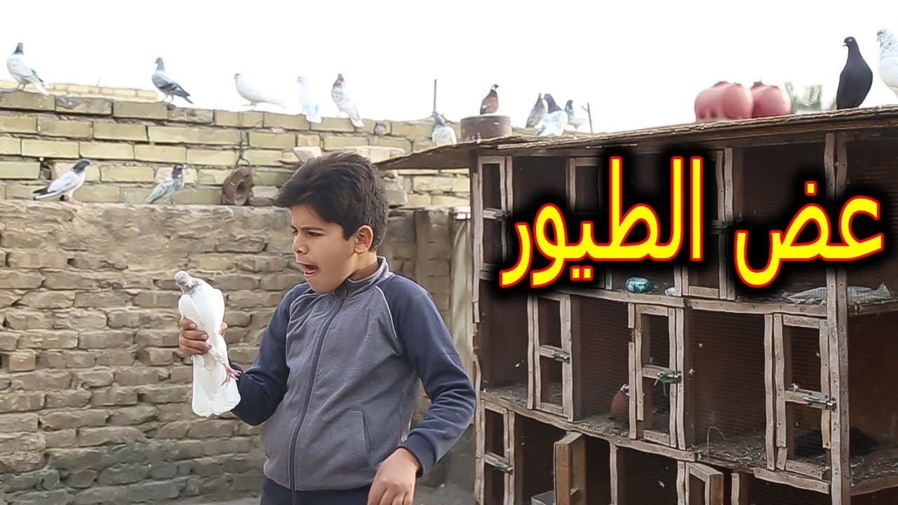 خباثه اخوي طبانه فظحني اني وساره  بسبب الطيور  شوفو المشكله