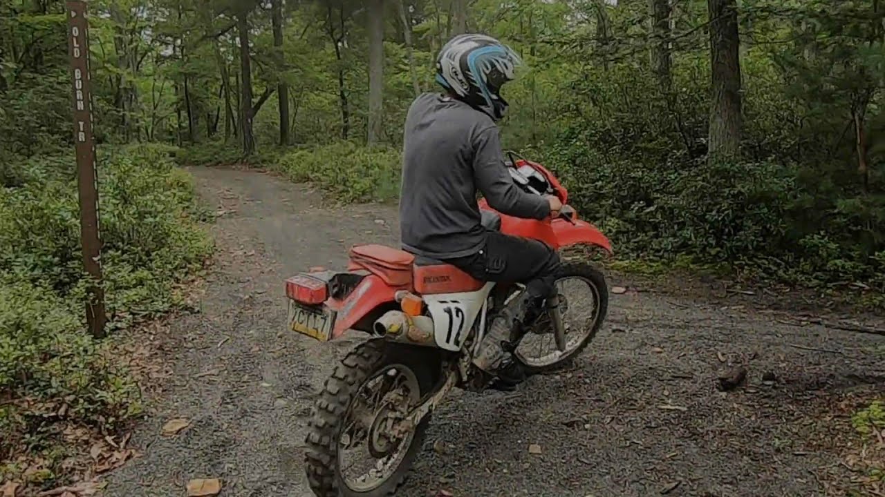 Bald Eagle  Dual sport Ride 2021