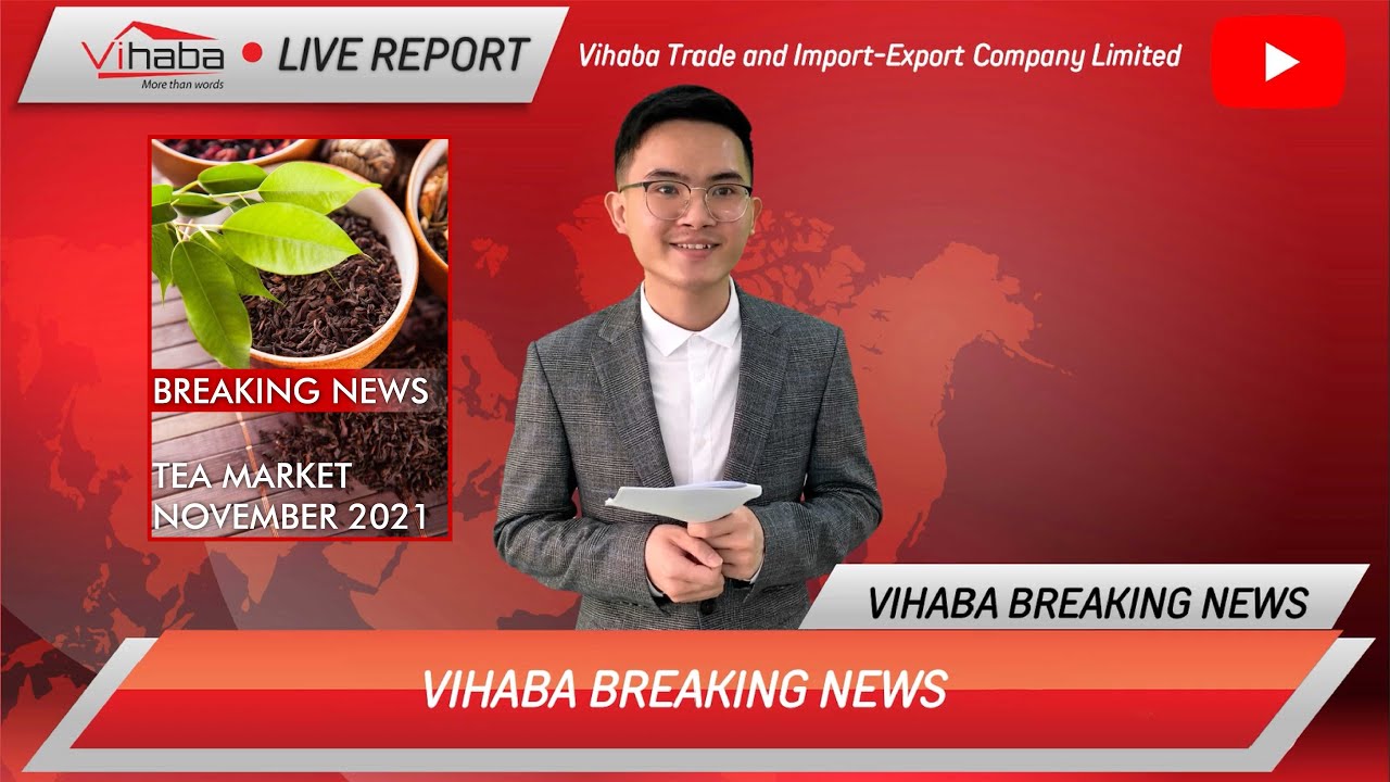 Live Report Of Global Tea Market in November 2021 l Vihaba Co.,Ltd