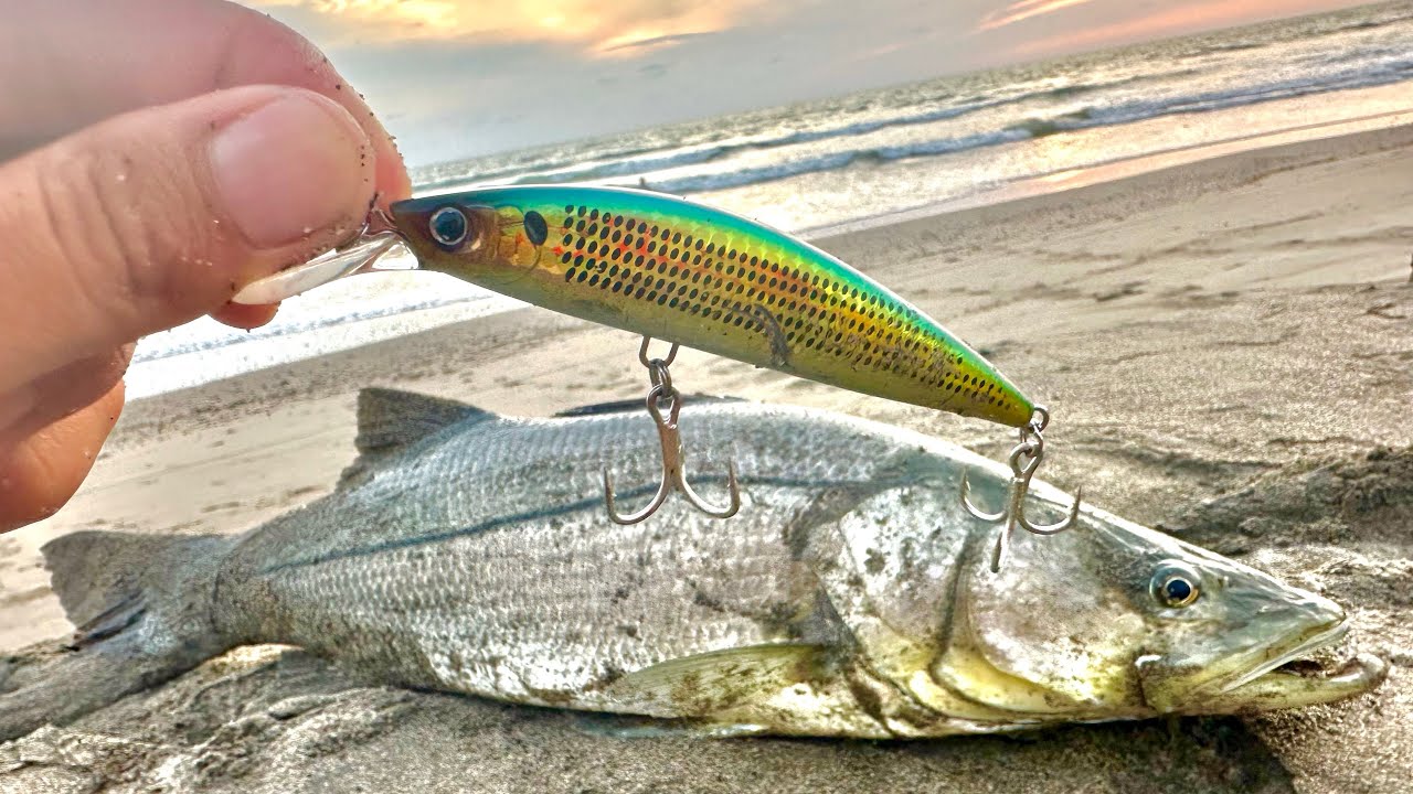 GRAN PELEA con ROBALO de 9 KG || PESCA de ORILLA.