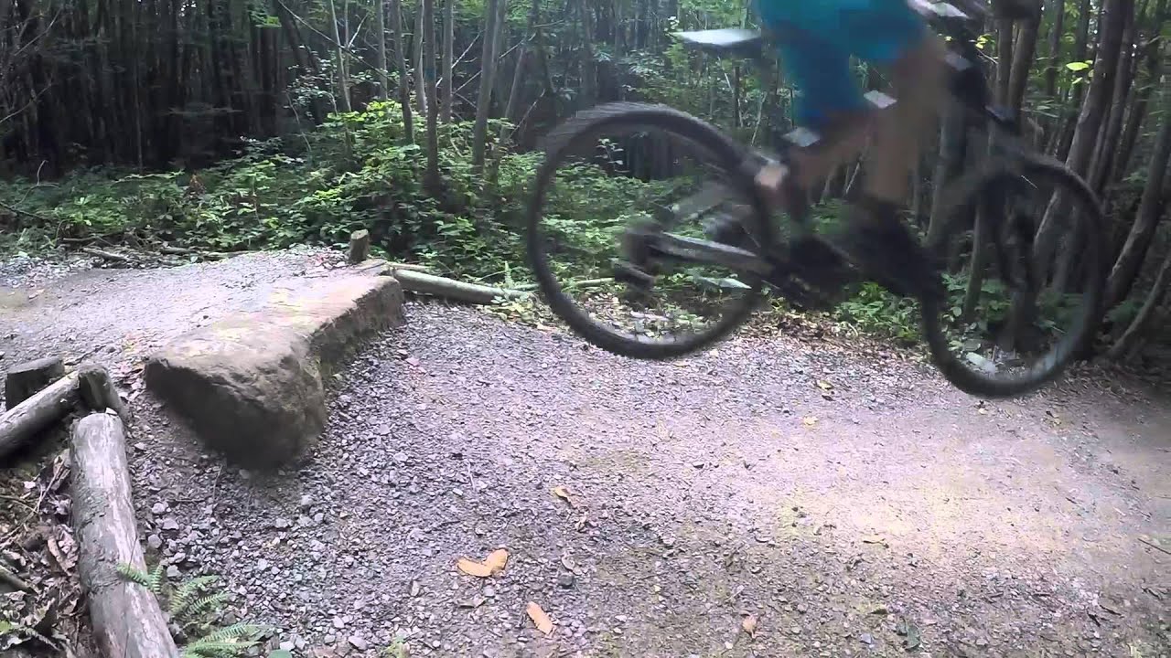Bedgebury #2 | alex | Black | red single track