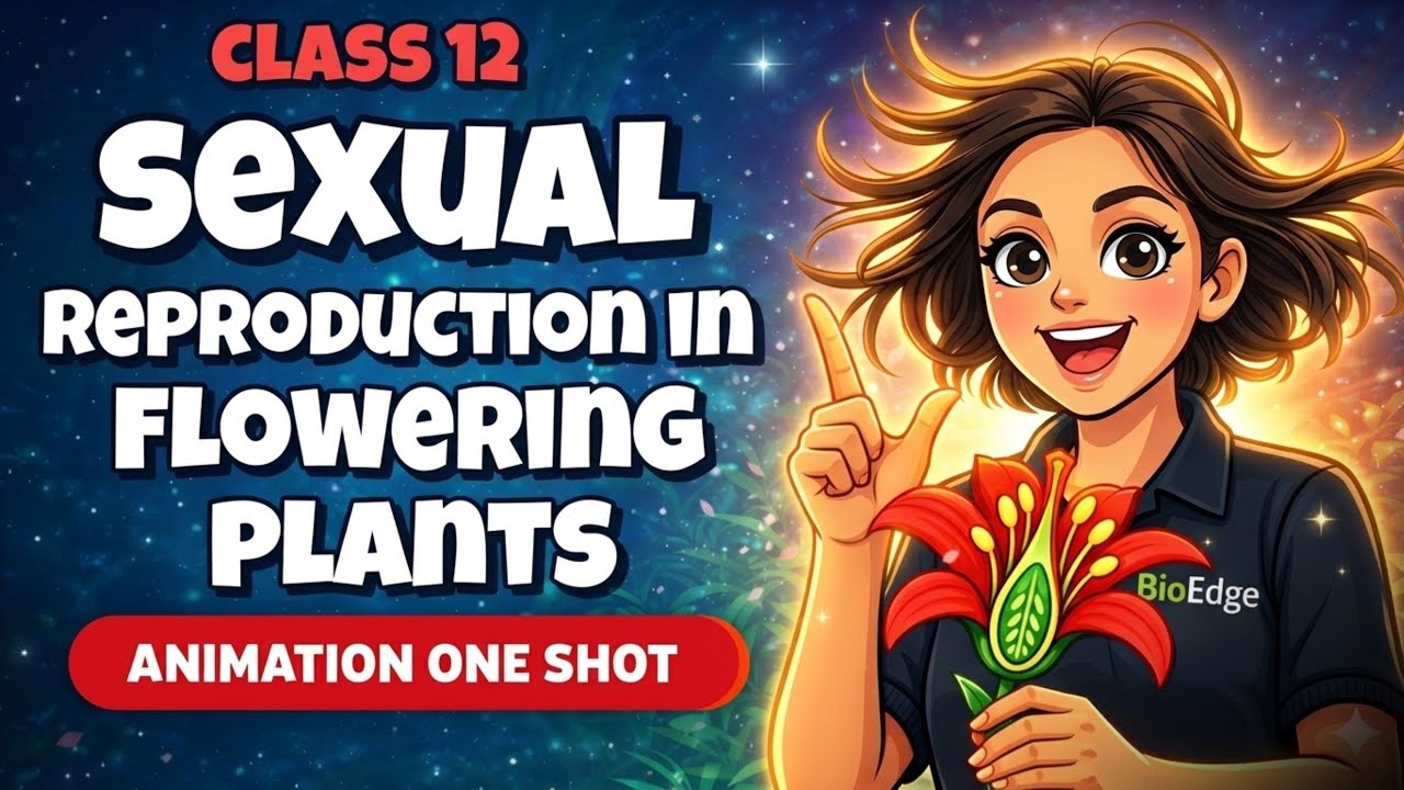 Sexual Reproduction in Flowering Plants one shot | class 12 Biology PYQ + NCERT| NEET & BOARDS
