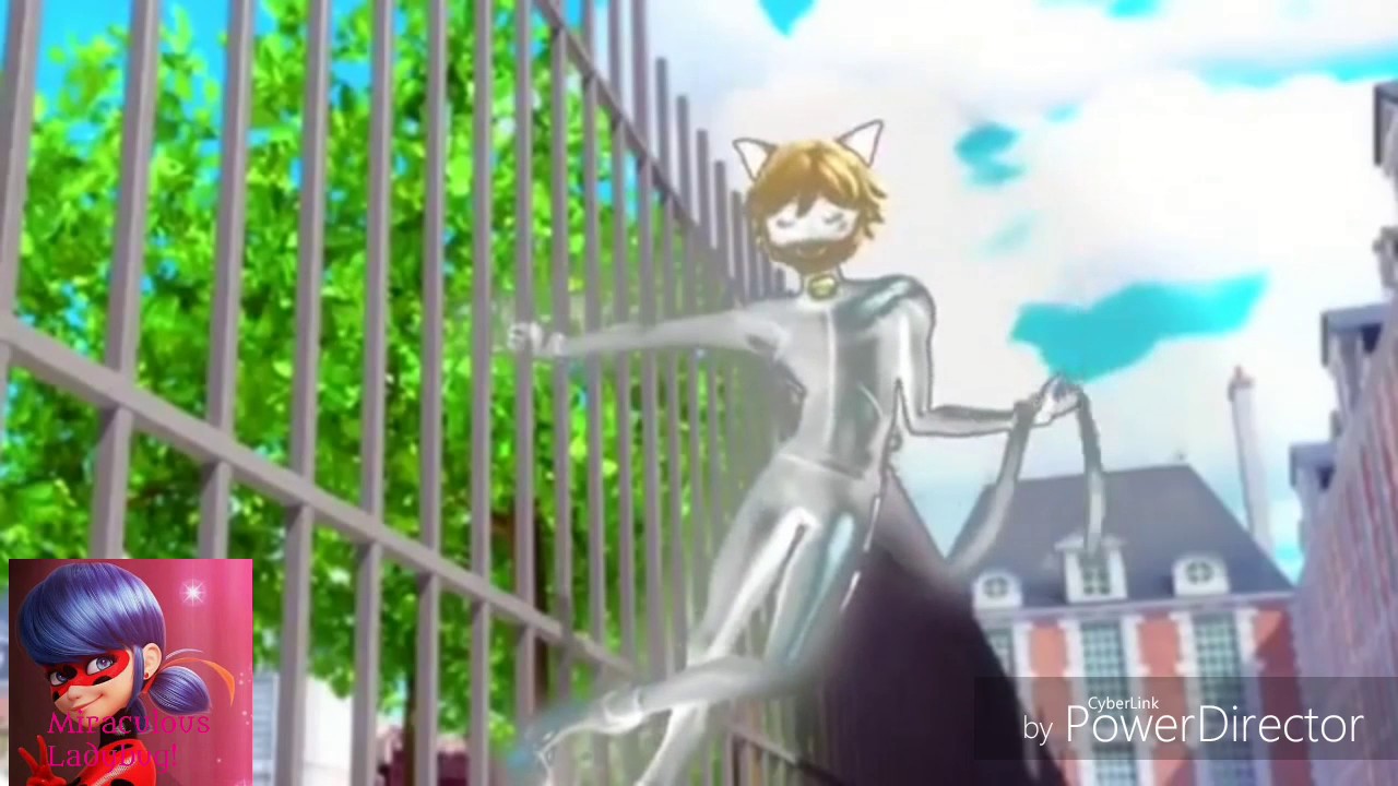 Chat blanc - 2 ( Miraculous Ladybug Amv)