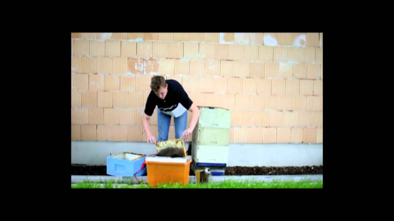 apitec: akkubetriebene Abkehrmaschine