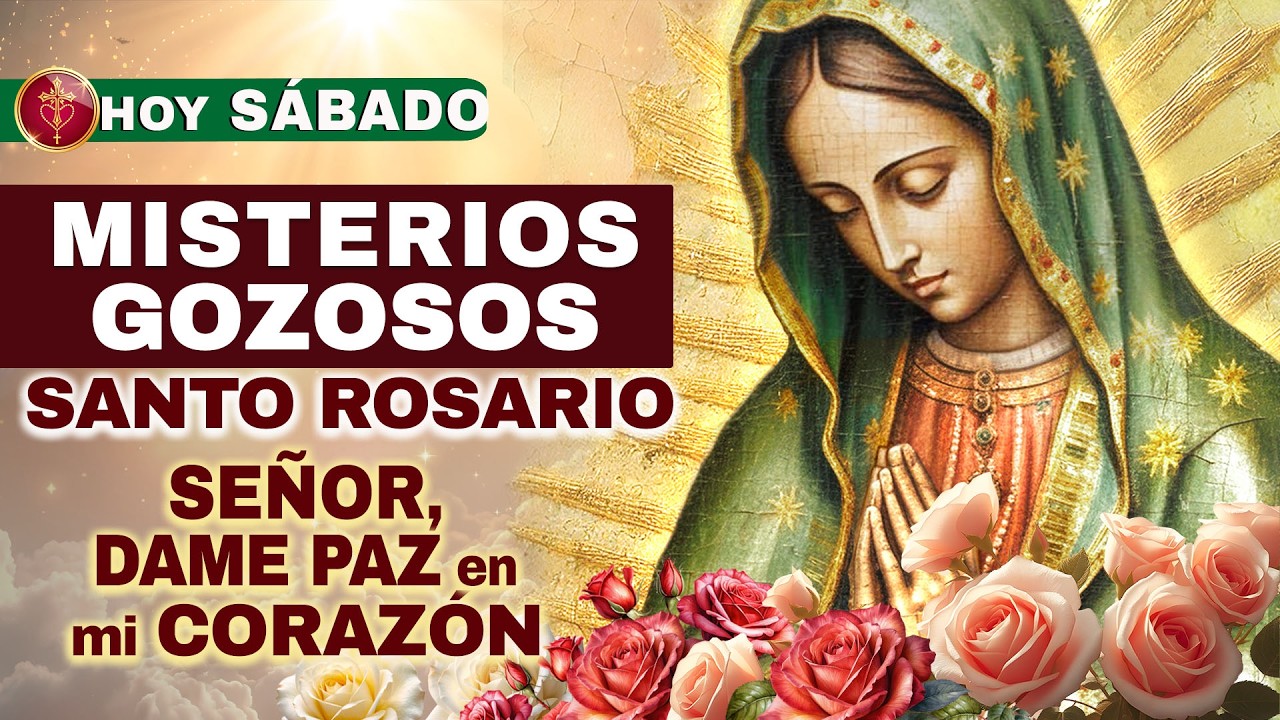 Santo Rosario HOY Sáb 28 Feb 2026 ✨ Gozosos — Enséñame a orar por quien me hirió | Paz en mi corazón