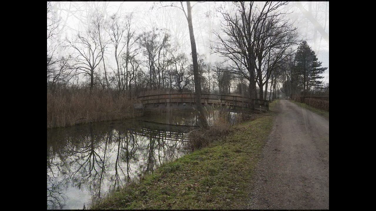 Wandeling door Griendtsveen en het Nonnenpad
