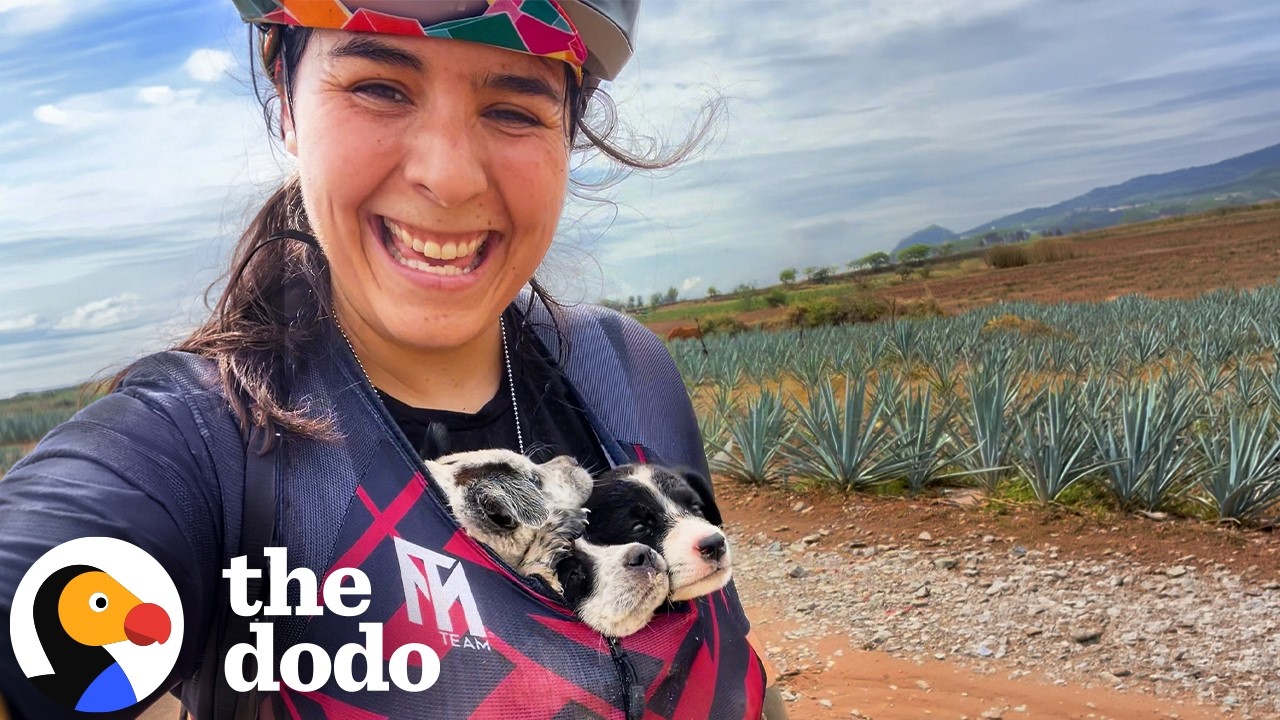 Woman Went for A Bike Ride &mdash; And Her Life Was Forever Changed | The Dodo