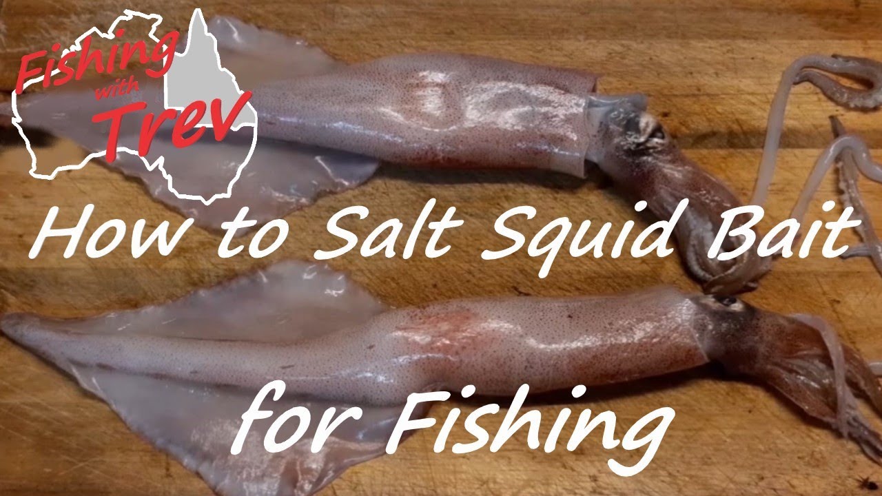 How to Salt Bait for Fishing - Squid
