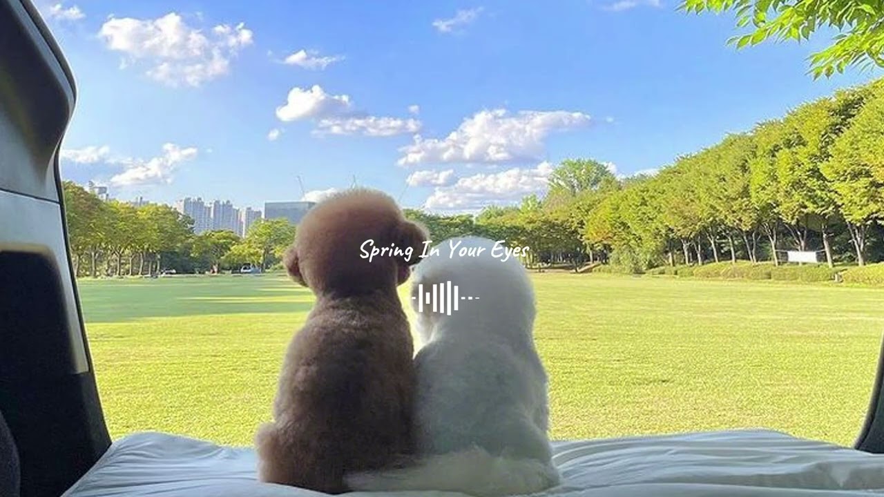 𝐏𝐥𝐚𝐲𝐥𝐢𝐬𝐭 봄 시작 🌸 | 감성있는 R&B 힙합 | 매장음악•카페음악•노동요