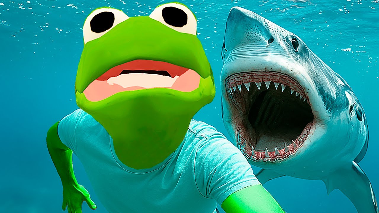 DEI 10 VOLTAS EM UMA PISCINA COM TUBARÃO - Sharks and Minnows