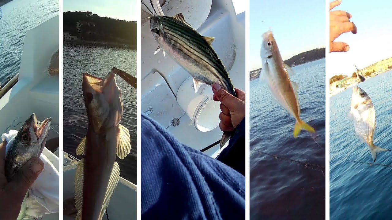 Proljetni mix- Pišmolji, Pauk, Skuša, Oslić, Palamida, Šarun, Orade - Fishing in Croatia
