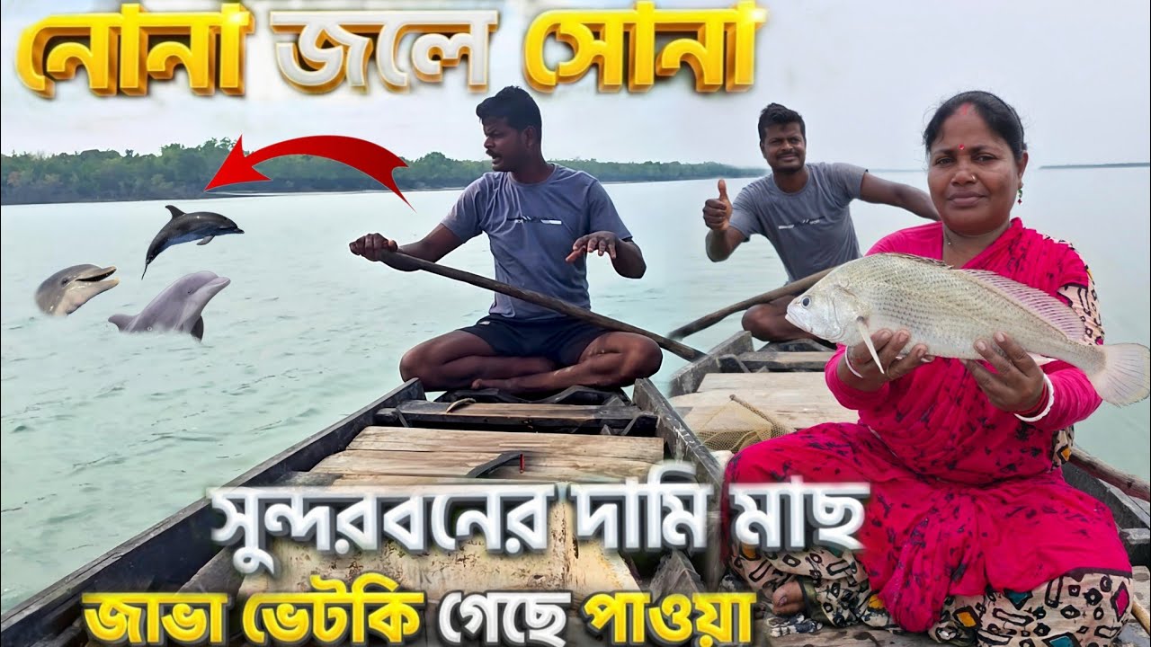 মরিচঝাঁপি জঙ্গলের ভাঙনের সাইটে বরশির দোন ফেললাম এবং বড়ো বড়ো সাইজের বিভিন্ন প্রজাতির মাছ পেলাম।