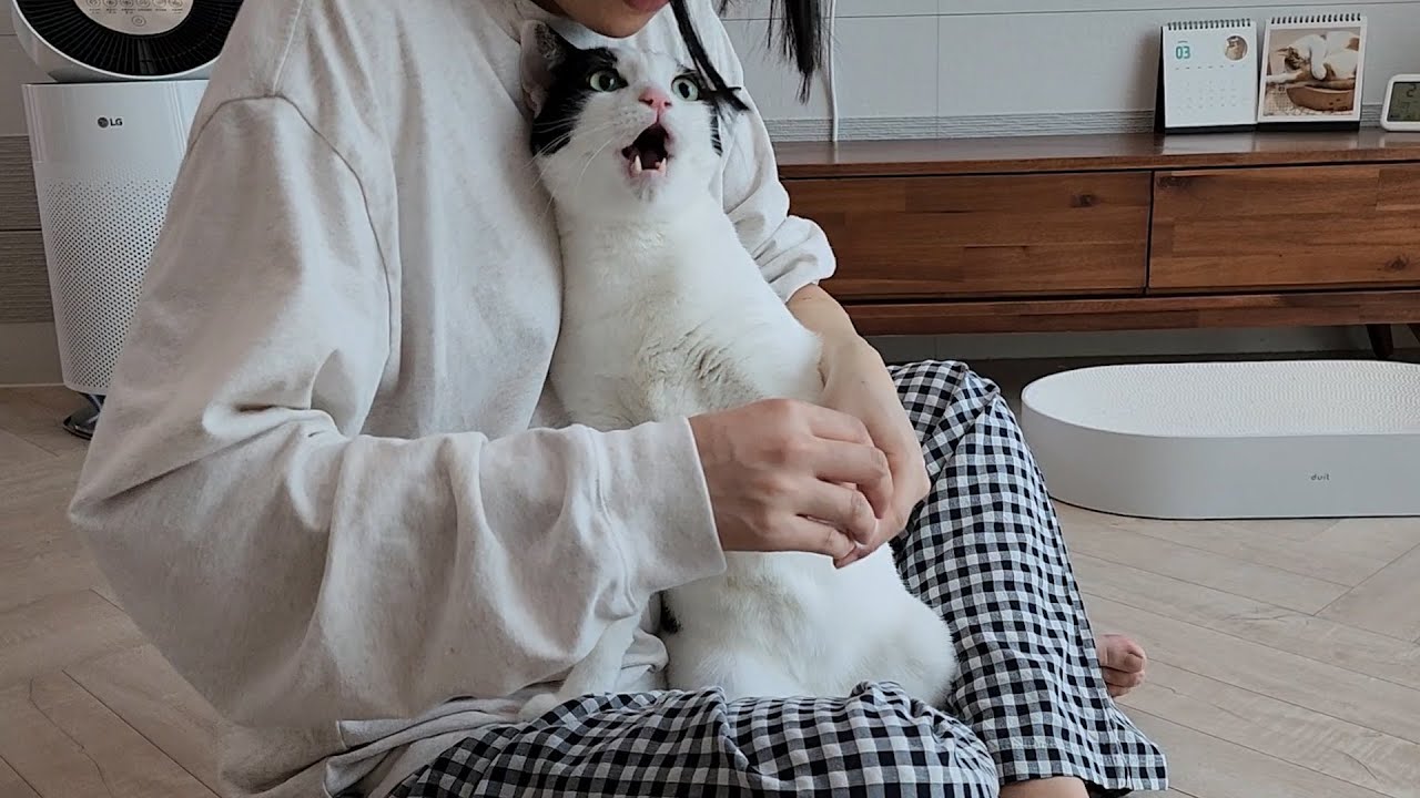 아빠랑 있을 땐 세상 얌전한 고양이가 엄마랑 있을 땐... 에휴