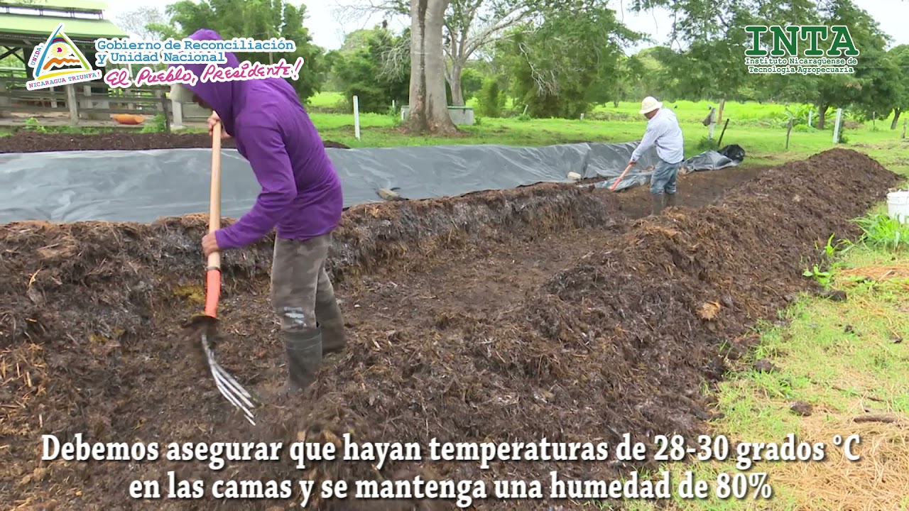 Elaboración de Lombrihumus