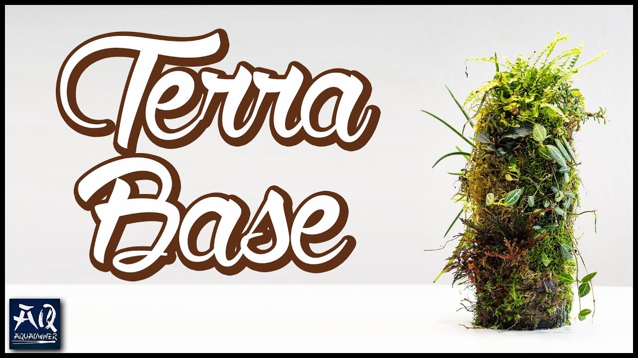TERRA BASE einrichten im MegaZoo Düsseldorf | AquaOwner