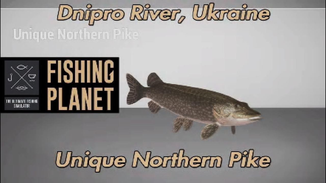 Уникальная северная щука, река Днепр, Украина. Путеводитель Fishing Planet.