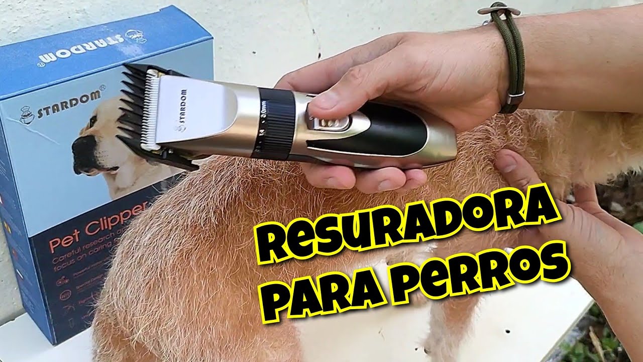 Pet Clipper stardom / Maquina para Perros / Como usar? / Es Buena?