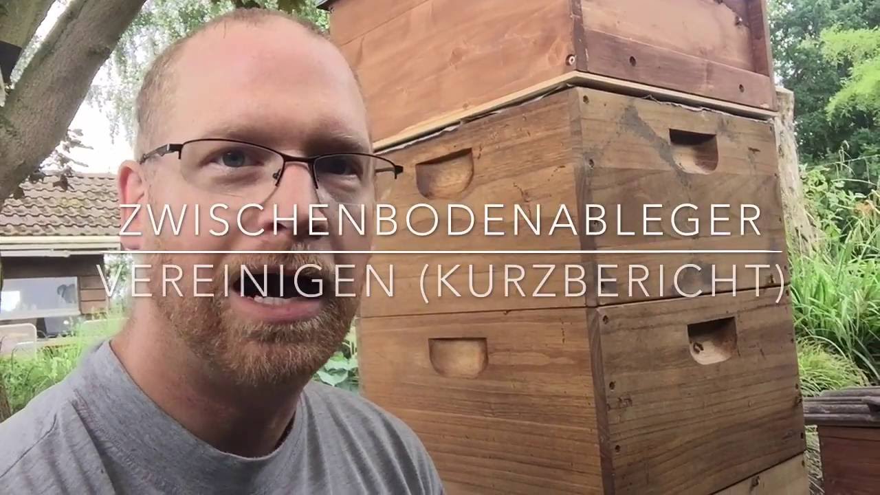 Zwischenbodenableger Vereinigen