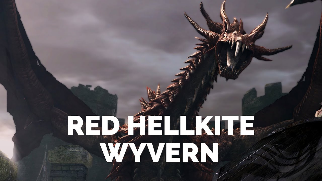 Red Hellkite Wyvern Fight | No Damage | Dark Souls Remastered