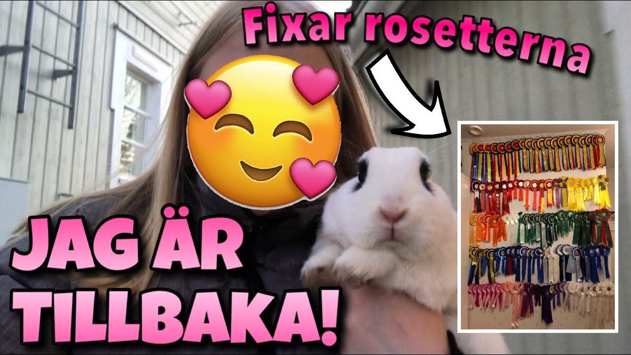 Ines försvann?! Vaccinerar kaninerna~ Vlogg