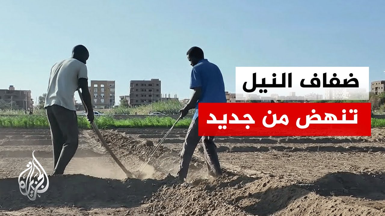 انتعاش الزراعة وصيد الأسماك على ضفاف النيل في الخرطوم