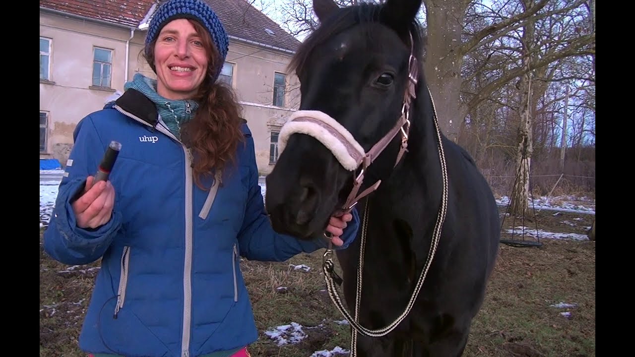 EQUINALE TV - Pferd/Gesundheit&Mehr 1/1