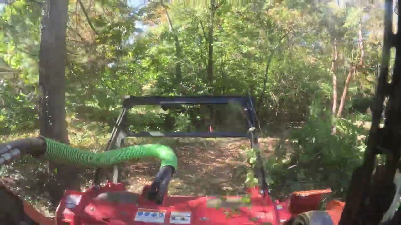 Clearing Wisteria for Yard Expansion Indian Hill, Cincinnati, Ohio