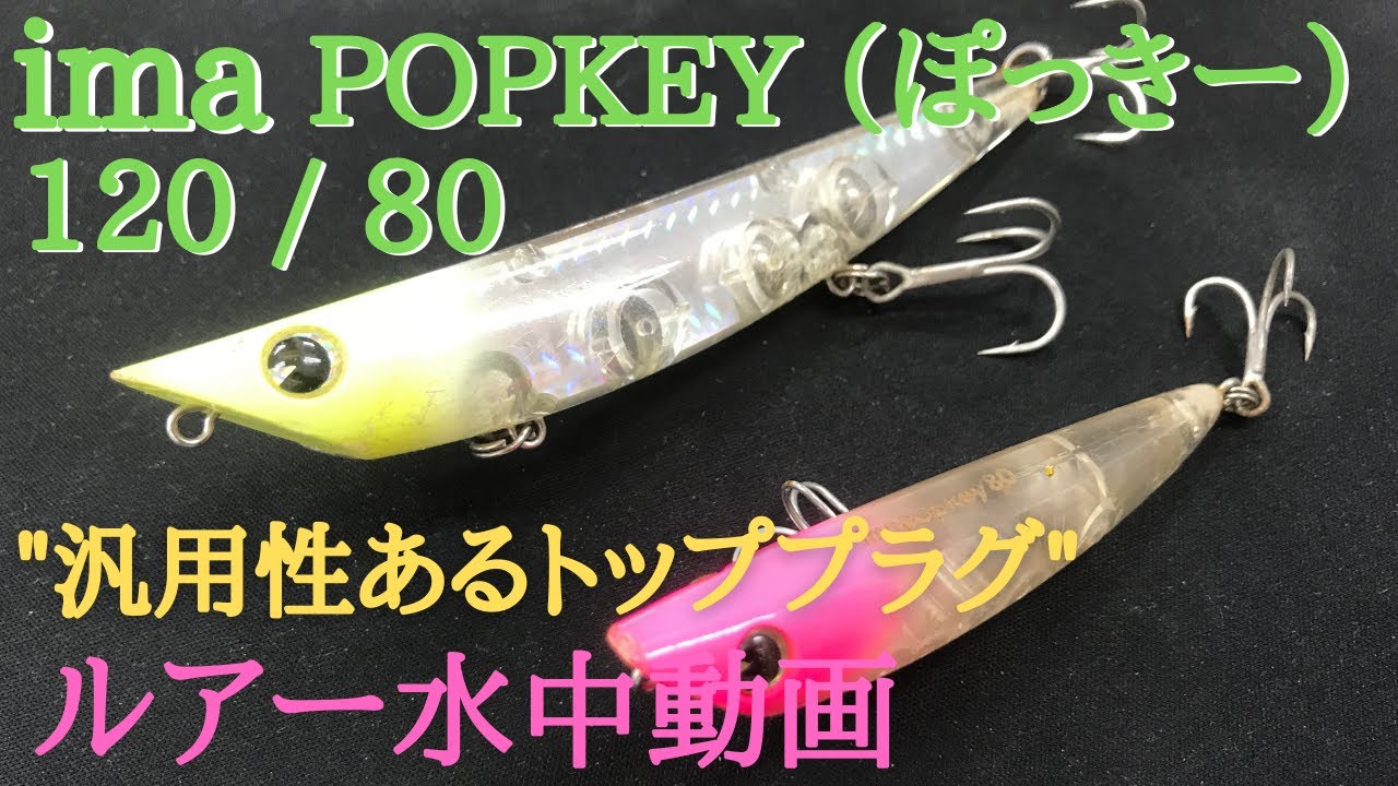 【ポッキー：アイマ】水中映像　「ima popkey 120 / 80」　ルアー水中動画