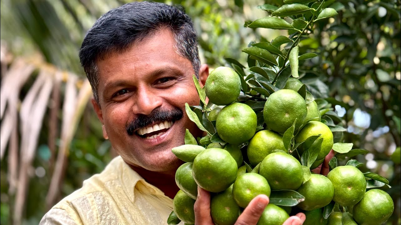 പഴചെടികളുടെ പറുദീസയാണ് മിറക്കിൾ ഫാം ഹൗസ്. Best Fruits Farm in Kerala….