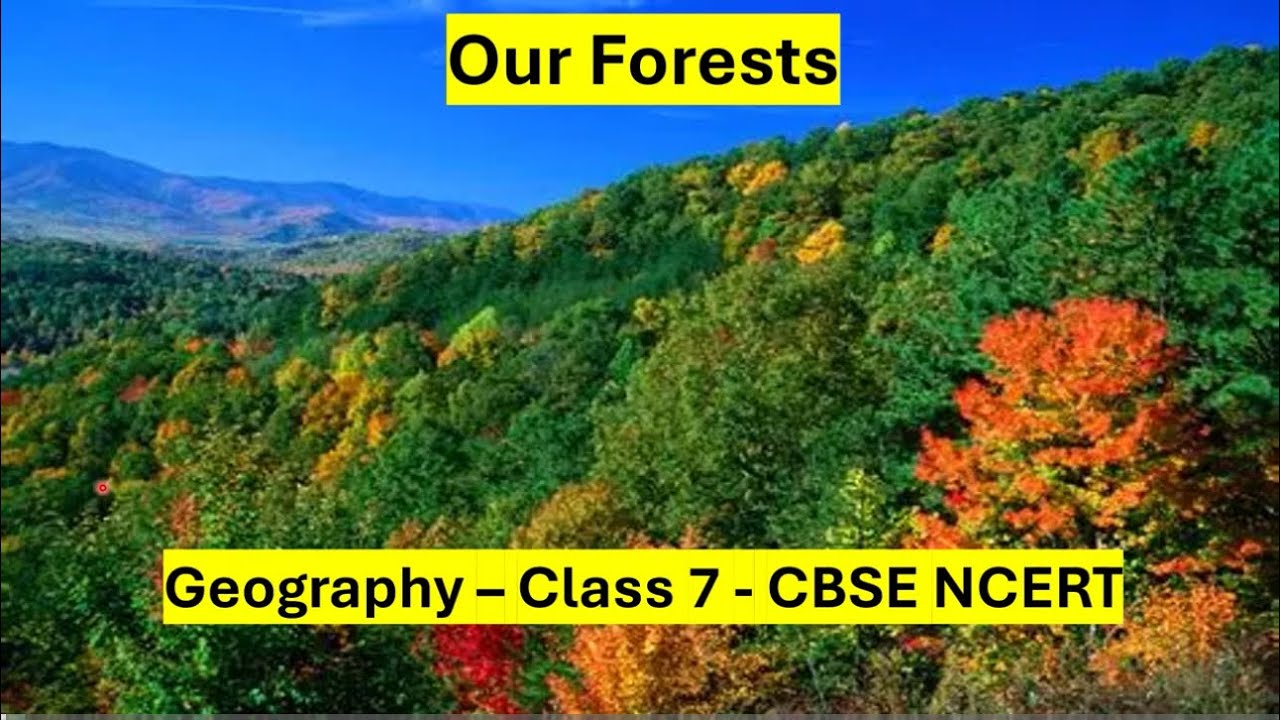 Our Forests - Geography EVS Ecology - Class 7 - CBSE - NCERT