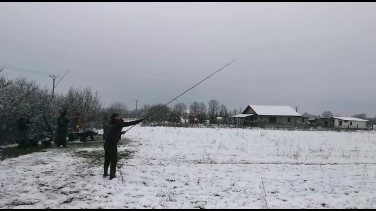 Carpspirit Magnum x5