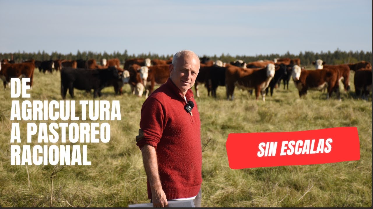 ¿Cómo pasar de Agricultura a Ganaderia Regenerativa SIN ESCALAS - Pastoreo Racional Voisin Argentina