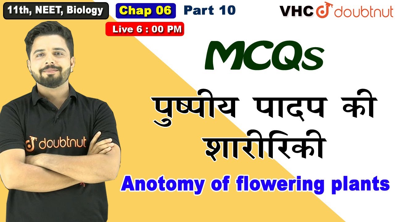 Part 10 MCQs पुष्पीय पादप की शारीरिकी,  11th Biology