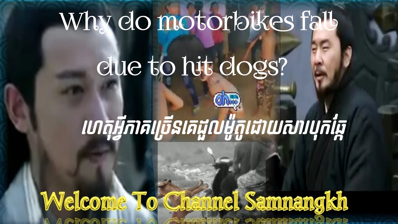 Why do motorbikes fall due to hit dogs? Samkok questions/Troll Sarmkok#25