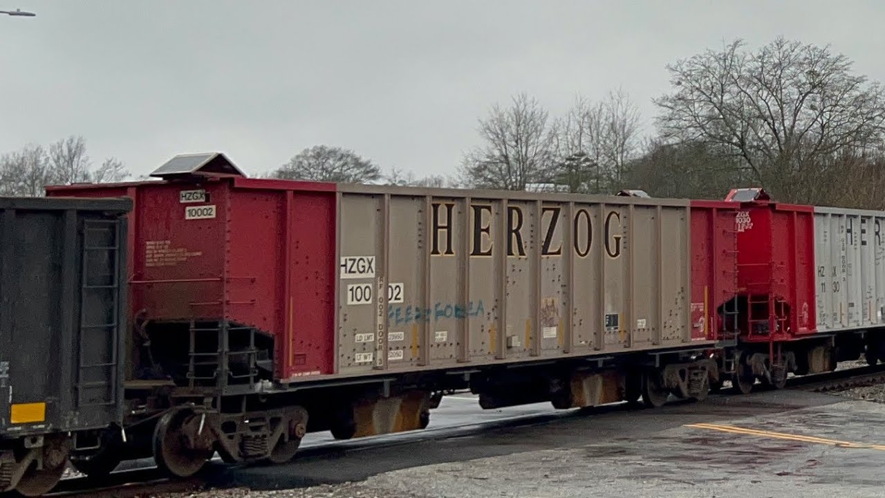 You definitely don’t see these everyday. || 1/10/26