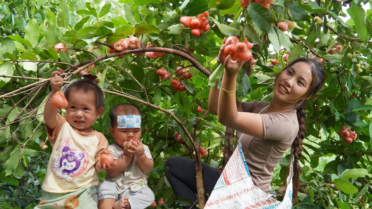 Harvesting ancient fruits and selling them at the market - preserving corn all year round