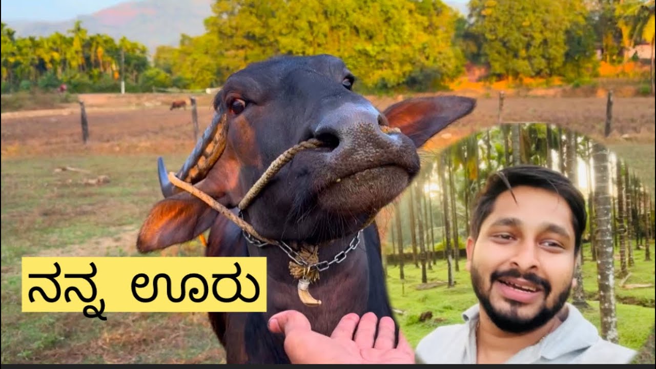 ನನ್ನ ಊರು |Shrikanth Ajekar