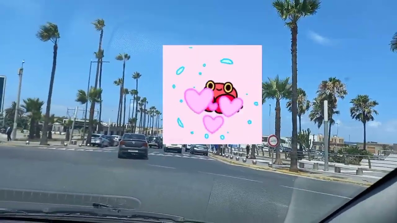 #فلوك_ دايزو_ الكلام 🏊‍♀️🏊‍♂️