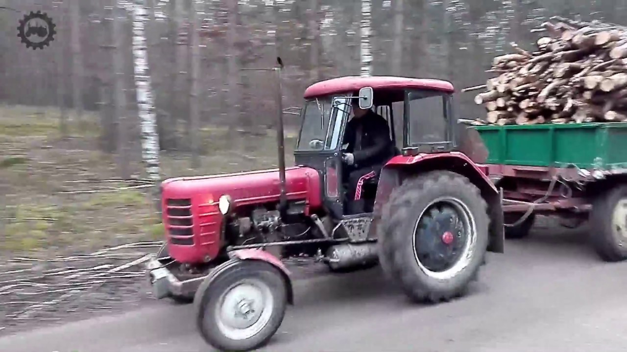 Zetor 3011 Major 1963 - transport drewna