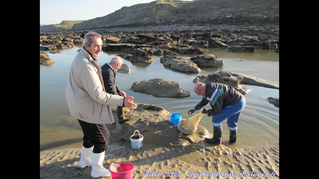 Equihen-Plage Nettoyage des moules Francis, Aldo, Philippe 30 03 2021