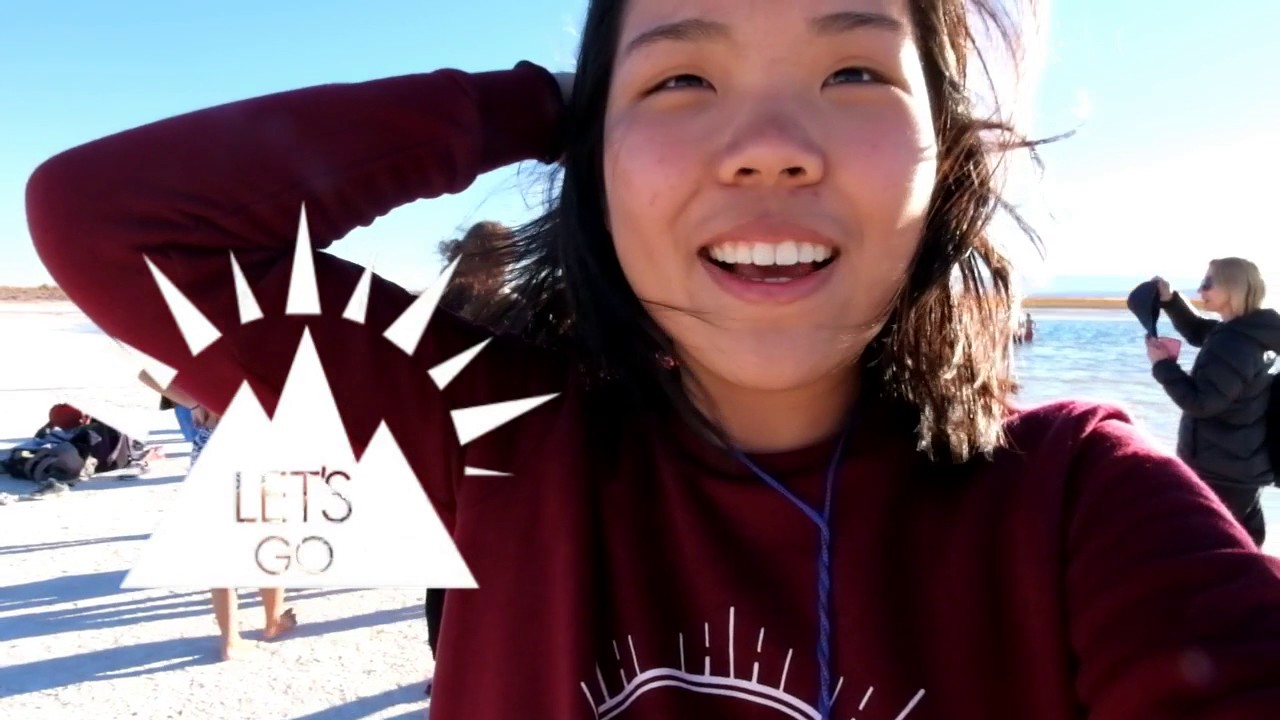 My Exchange year with AFS in Puerto Montt, Chile (2016-2017)