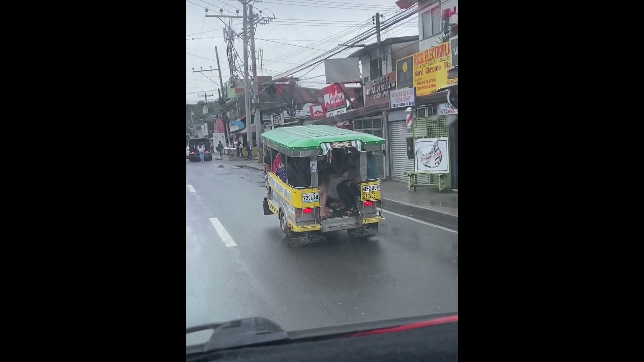 Have you tried this kind of transportation? 