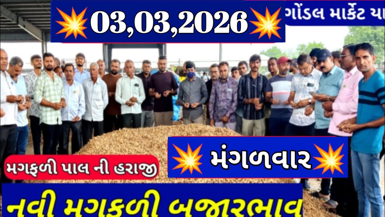 ગોંડલ મગફળી બજાર ભાવ / આજના મગફળીના બજાર ભાવ / Gondal marketing yard /03,03,2026