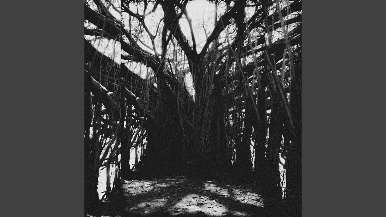 Caught Up In A Storm