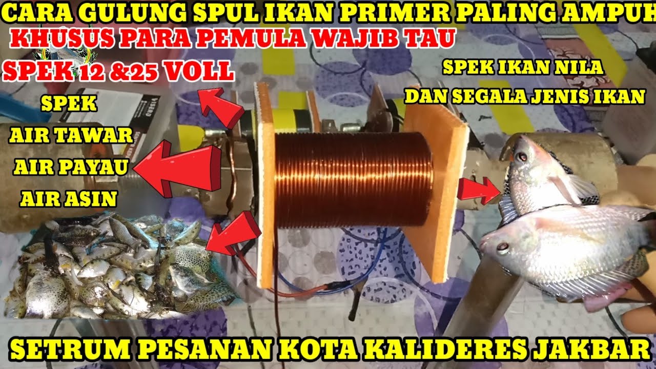 CARA GULUNG SPUL SETRUM  IKAN PRIMER SPEK 12&24 VOLL