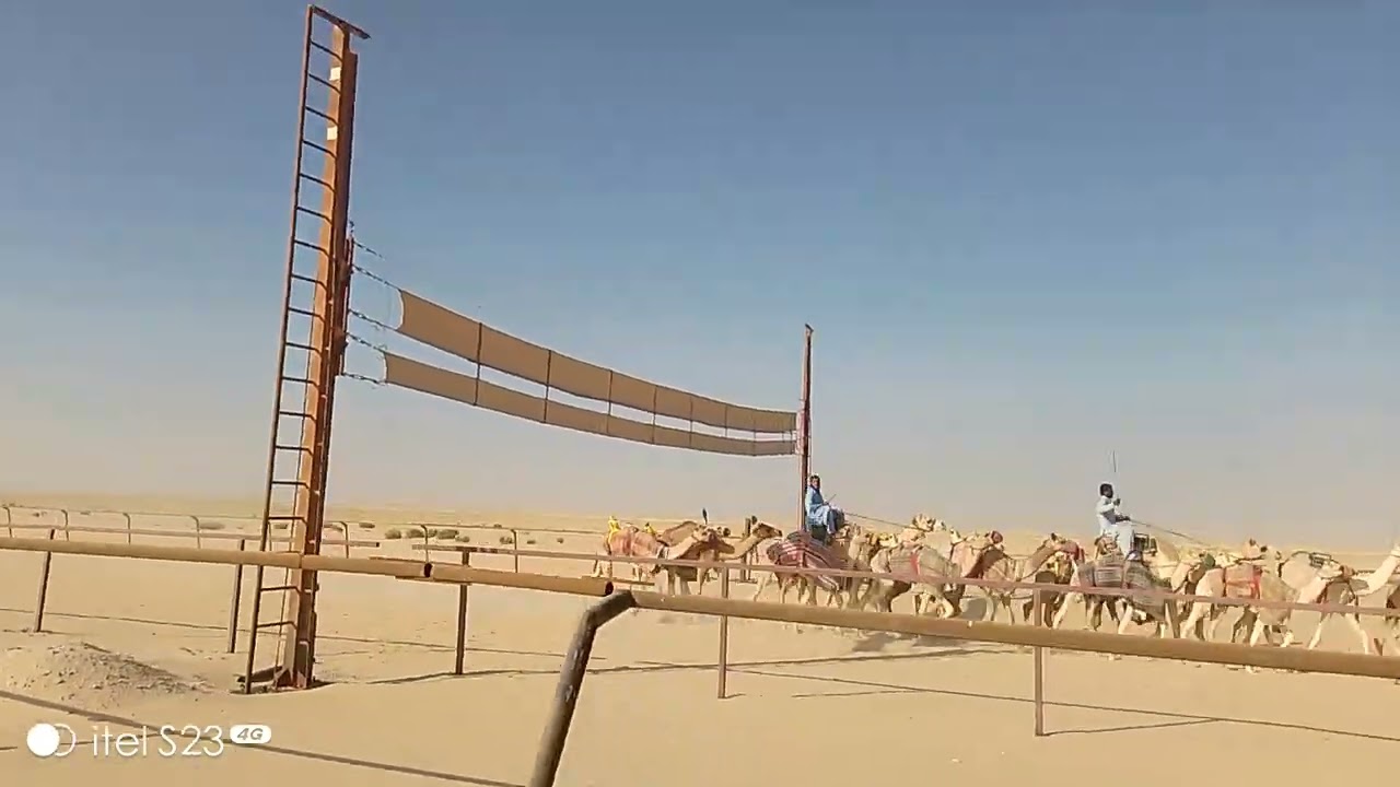 camel walk ## 🐪🐪🐪🐪🐪🐪
